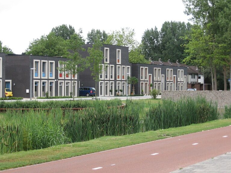 DWDW gaat naar Lewenborg!