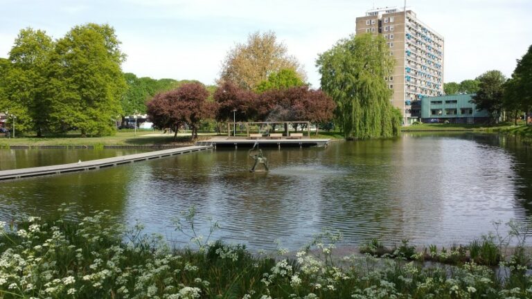 DWDW gaat naar de Wijert!